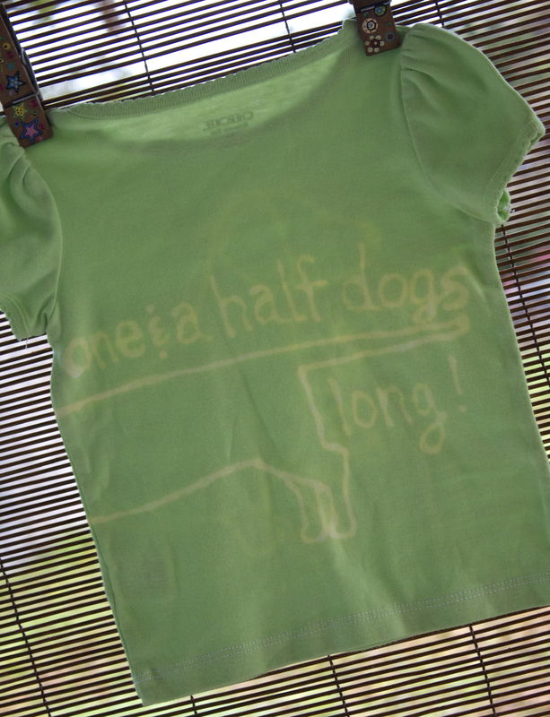Gus Gus the dachshund - hand dyed t-shirt original design front and back - product image  