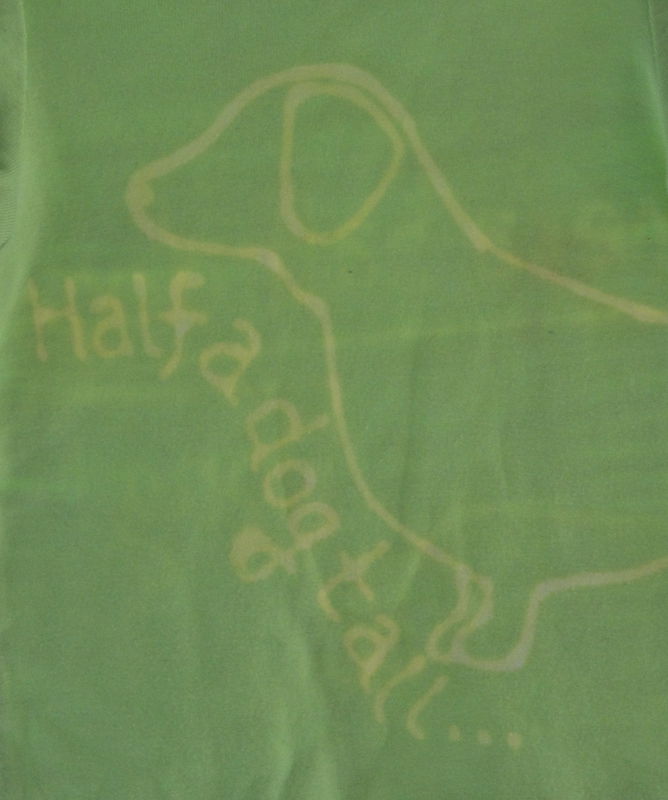 Gus Gus the dachshund - hand dyed t-shirt original design front and back - product image  