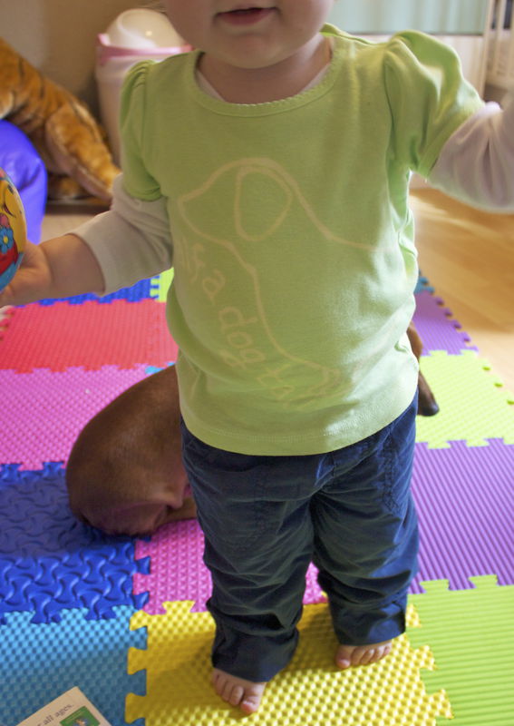 Gus Gus the dachshund - hand dyed t-shirt original design front and back - product image  