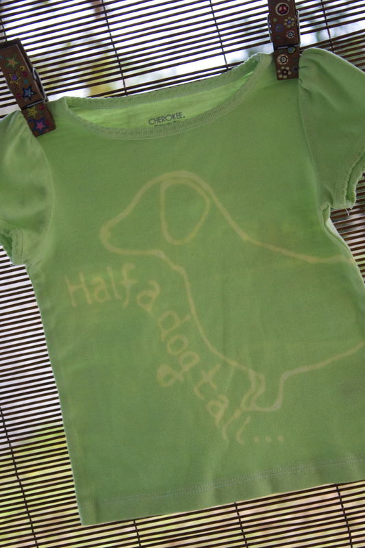 Gus Gus the dachshund - hand dyed t-shirt original design front and back - product image  