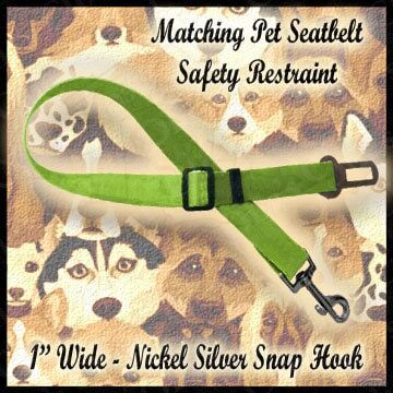 Ozzy Crazy Train Dog or Cat Pet Collar - product image  