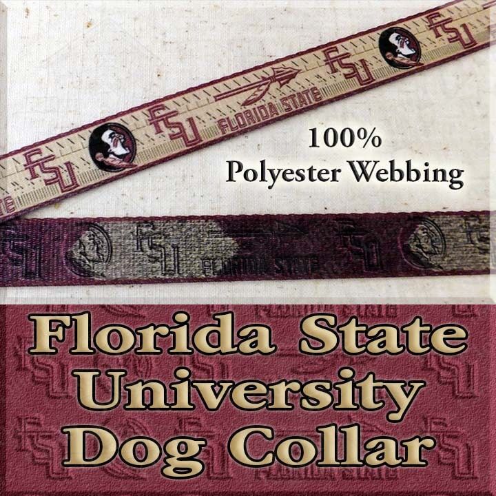 FSU Florida State University Seminoles Polyester Webbing Designer Novelty Dog Collar - product image  