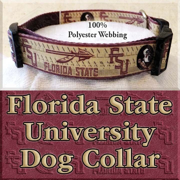 FSU Florida State University Seminoles Polyester Webbing Designer Novelty Dog Collar - product image  
