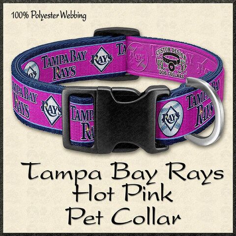 Tampa,Bay,Rays,Baseball,Hot,Pink,or,Gold,Designer,Pet,Collar,TAMPA_BAY_RAYS,tampa_baseball_dog,tampa_rays_collar,tampa_rays_pet_gift,tampa_bay_ray_fan,hot_pink_tampa_dog,gold_tampa_rays_dog,tampa_bay_baseball,devil_rays_collar,devil_rays_pet_fan,hot_pink_tampa_rays,tampa_bay_sports,tampa_bay_fan_gift
