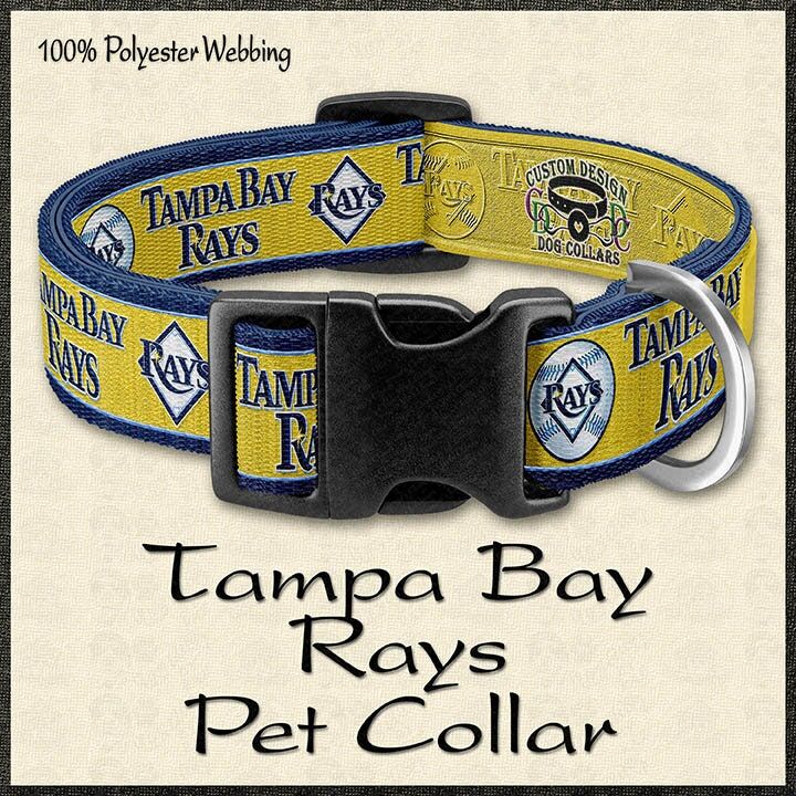 Tampa Bay Rays Baseball Hot Pink or Gold Designer Pet Collar - product image  
