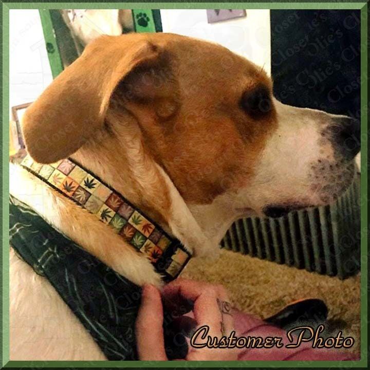 Weed Pot Cannabis Ganja Colorful Grid Leaf Pet Collar - product image  