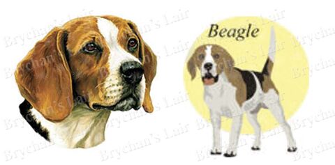 Beagle,Dog,Breed,Specific,Craft,Designer,Grosgrain,Ribbon,Beagle Dog Breed Specific Craft Designer Grosgrain Ribbon, breed specific dog ribbon, craft dog ribbon, grosgrain ribbon, dog breed grosgrain ribbon, custom grosgrain ribbon, designer grosgrain ribbon, pedigree dog grosgrain ribbon