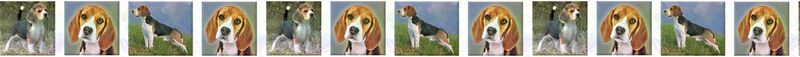 Beagle Dog Breed Specific Version No2 Custom Printed Grosgrain Ribbon by the Yard - product image  