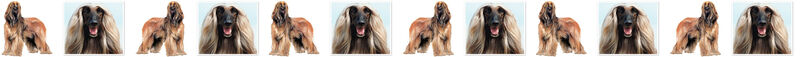 Afghan Hound Dog Breed Specific Version Custom Printed Grosgrain Ribbon by the Yard - product image  