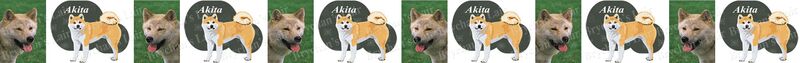 Akita Dog Breed Specific Craft Designer Grosgrain Ribbon - product image  