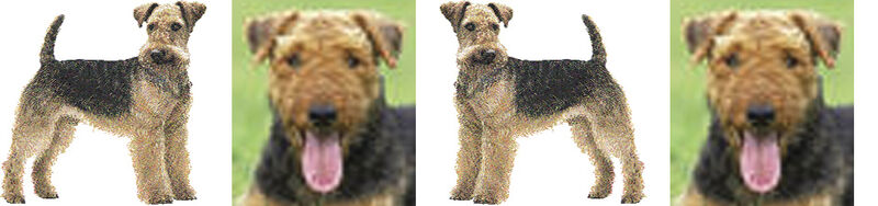 Airedale Terrier Dog Breed Specific Craft Designer Grosgrain Ribbon - product image  