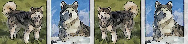 Alaskan Malamute Dog Breed Specific Craft Designer Grosgrain Ribbon - product image  