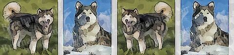 Alaskan,Malamute,Dog,Breed,Specific,Craft,Designer,Grosgrain,Ribbon,Alaskan Malamute Dog Breed Specific Craft Designer Grosgrain Ribbon