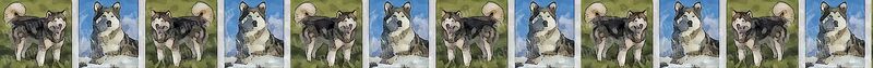 Alaskan Malamute Dog Breed Specific Craft Designer Grosgrain Ribbon - product image  