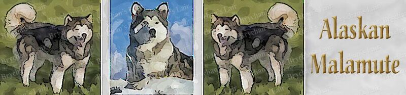 Alaskan Malamute w/Name Dog Breed Specific Craft Designer Grosgrain Ribbon - product image  