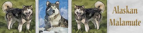 Alaskan,Malamute,w/Name,Dog,Breed,Specific,Craft,Designer,Grosgrain,Ribbon,Alaskan Malamute w/Name Dog Breed Specific Craft Designer Grosgrain Ribbon