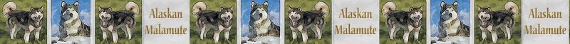 Alaskan Malamute w/Name Dog Breed Specific Craft Designer Grosgrain Ribbon - product image  
