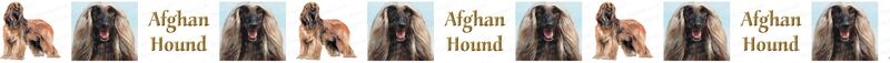 Afghan Hound w/ Name Dog Breed Specific Version Custom Printed Grosgrain Ribbon by the Yard - product image  
