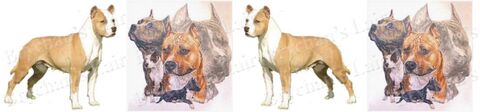 American,Staffordshire,Terrier,Handprinted,Grosgrain,Ribbon,American Staffordshire Terrier Dog Breed Specific Craft Designer Grosgrain Ribbon, breed specific dog ribbon, craft dog ribbon, grosgrain ribbon, dog breed grosgrain ribbon, custom grosgrain ribbon, designer grosgrain ribbon, pedigree dog grosgrain ribbon