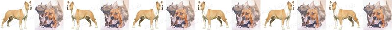 American Staffordshire Terrier Handprinted Grosgrain Ribbon - product image  