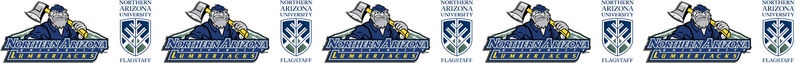 Arizona Northern University Lumberjacks Design Custom Grosgrain Ribbon - product image  