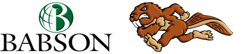 Babson University Custom Designed Grosgrain Ribbon - product image  