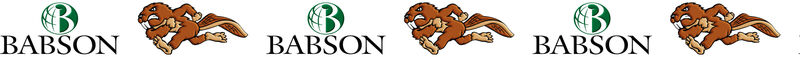 Babson University Custom Designed Grosgrain Ribbon - product image  
