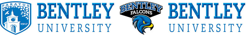 Bentley University Falcons Custom Designed Grosgrain Ribbon - product image  
