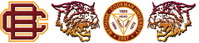 Bethune Cookman University Wildcats Custom Designed Grosgrain Ribbon - product image  