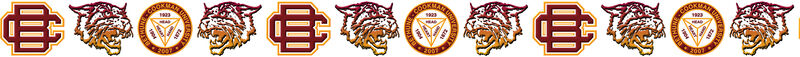 Bethune Cookman University Wildcats Custom Designed Grosgrain Ribbon - product image  