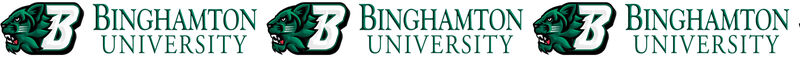 Binghamton University Custom Designed Grosgrain Ribbon - product image  