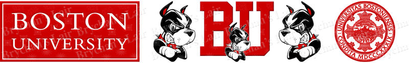 Boston University Terriers Custom Designed Grosgrain Ribbon - product image  