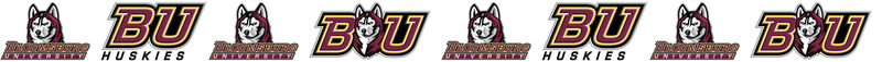 Bloomsburg University Huskies NO2 Custom Designed Grosgrain Ribbon - product image  
