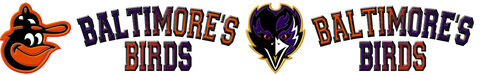 Baltimore,Orioles,Ravens,'Baltimore's,BIRDS',Grosgrain,Ribbon,Custom,Printed,by,the,Yard,Baltimore Orioles Ravens 'Baltimore's BIRDS' Grosgrain Ribbon Custom Printed by the Yard, NHL Team Grosgrain Ribbon by the yard, NFL Team Grosgrain Ribbon by the Yard, NBA Team Grosgrain Ribbon by the Yard, MLB Team Grosgrain Ribbon by the Yard, 