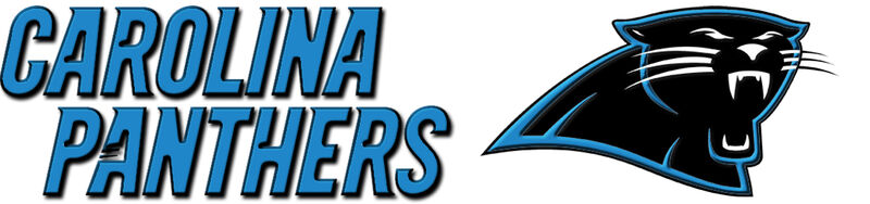 Carolina Panthers ver. No3 Grosgrain Ribbon Custom Printed by the Yard - product image  