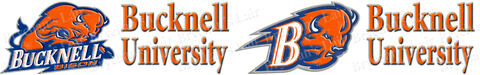 Bucknell,University,Bisons,Custom,Designed,Grosgrain,Ribbon,Printed,by,the,Yard,Bucknell University Bisons Custom Designed Grosgrain Ribbon, custom printed grosgrain ribbon, custom printed college university grosgrain ribbon, college university grosgrain ribbon by the yard