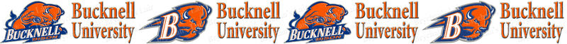 Bucknell University Bisons Custom Designed Grosgrain Ribbon Printed by the Yard - product image  
