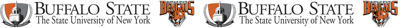 Buffalo State University Custom Designed Grosgrain Ribbon Printed by the Yard - product image  