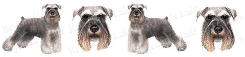 Miniature,Schnauzer,Dog,Breed,Specific,Custom,Printed,Grosgrain,Ribbon,by,the,Yard,Miniature Schnauzer Dog Breed Specific Custom Printed Grosgrain Ribbon by the Yard, custom printed dog breed specific designed grosgrain ribbon, dog breed ribbon by the yard, unique custom handprinted dog breed specific grosgrain ribbon