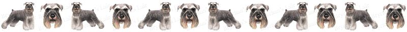 Miniature Schnauzer Dog Breed Specific Custom Printed Grosgrain Ribbon by the Yard - product image  