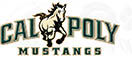 California Polytechnic State University Mustangs Custom Designed Grosgrain Ribbon Printed by the Yard - product image  