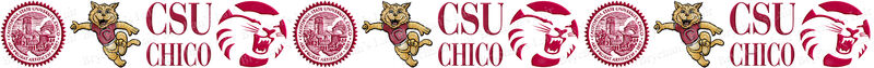 California State University Chico Wildcats Custom Designed Grosgrain Ribbon Printed by the Yard - product image  