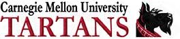 Carnegie Mellon University Tartans Custom Designed Grosgrain Ribbon Printed by the Yard - product image  