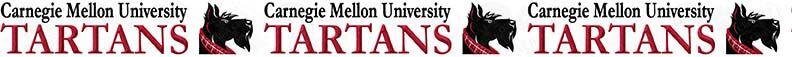 Carnegie Mellon University Tartans Custom Designed Grosgrain Ribbon Printed by the Yard - product image  