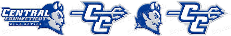 Central Connecticut State University Blue Devils Custom Designed Grosgrain Ribbon Printed by the Yard - product image  