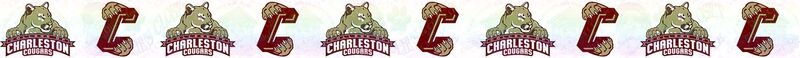 Charleston College Cougars Custom Designed Grosgrain Ribbon Printed by the Yard - product image  