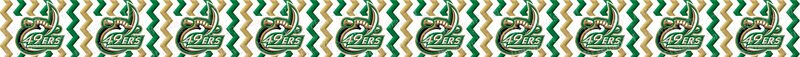 Charlotte UNC 49ers Chevron Custom Designed Grosgrain Ribbon Printed by the Yard - product image  