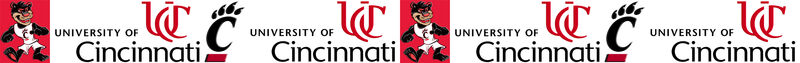Cincinnati University Bearcats ver. No1 Custom Designed Grosgrain Ribbon Printed by the Yard - product image  