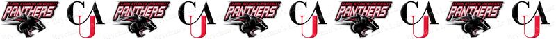 Clark Atlanta University Panthers Custom Designed Grosgrain Ribbon Printed by the Yard - product image  