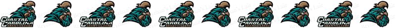 Coastal Carolina University Chanticleers Custom Designed Grosgrain Ribbon Printed by the Yard - product image  